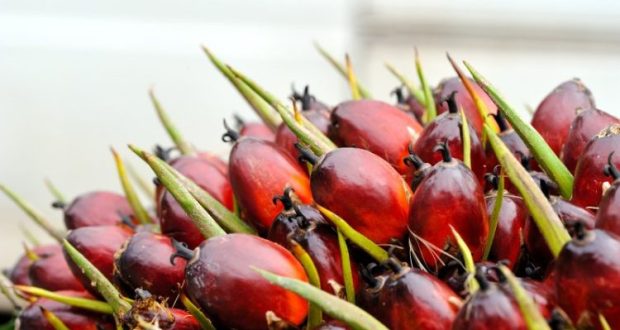 1000041094-750x422-1-620x330