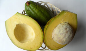 360_F_741181167_j69jXcVD1TMdxUIoiQ0VCbIGn7NYHvnn