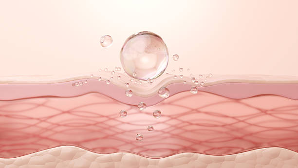 istockphoto-2223027824-612x612