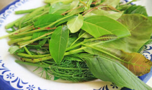 istockphoto-2245833797-612x612